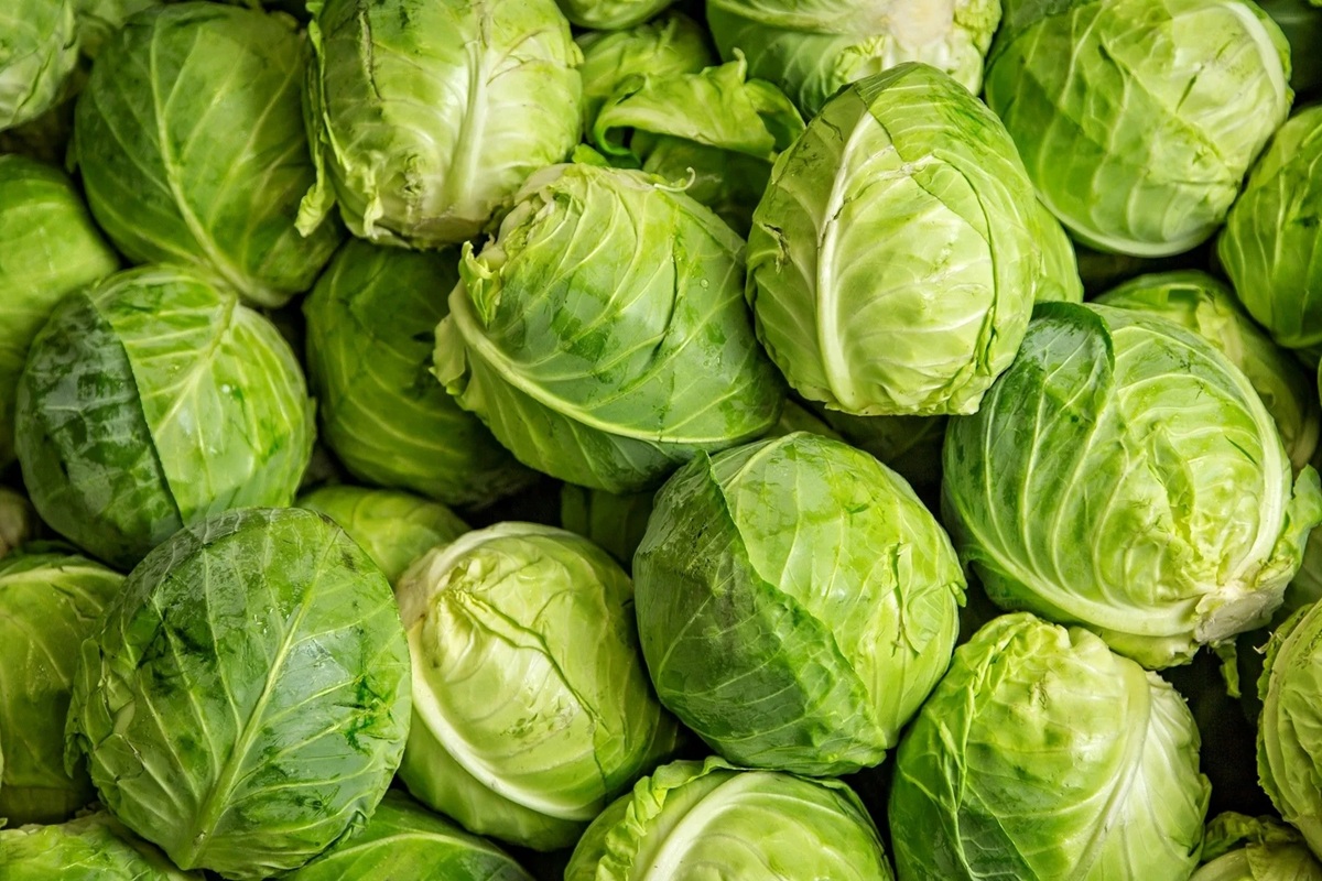 Kapusta kvete příliš brzy? Tyto zahradnické tipy vám pomohou zachránit úrodu co nejrychleji.