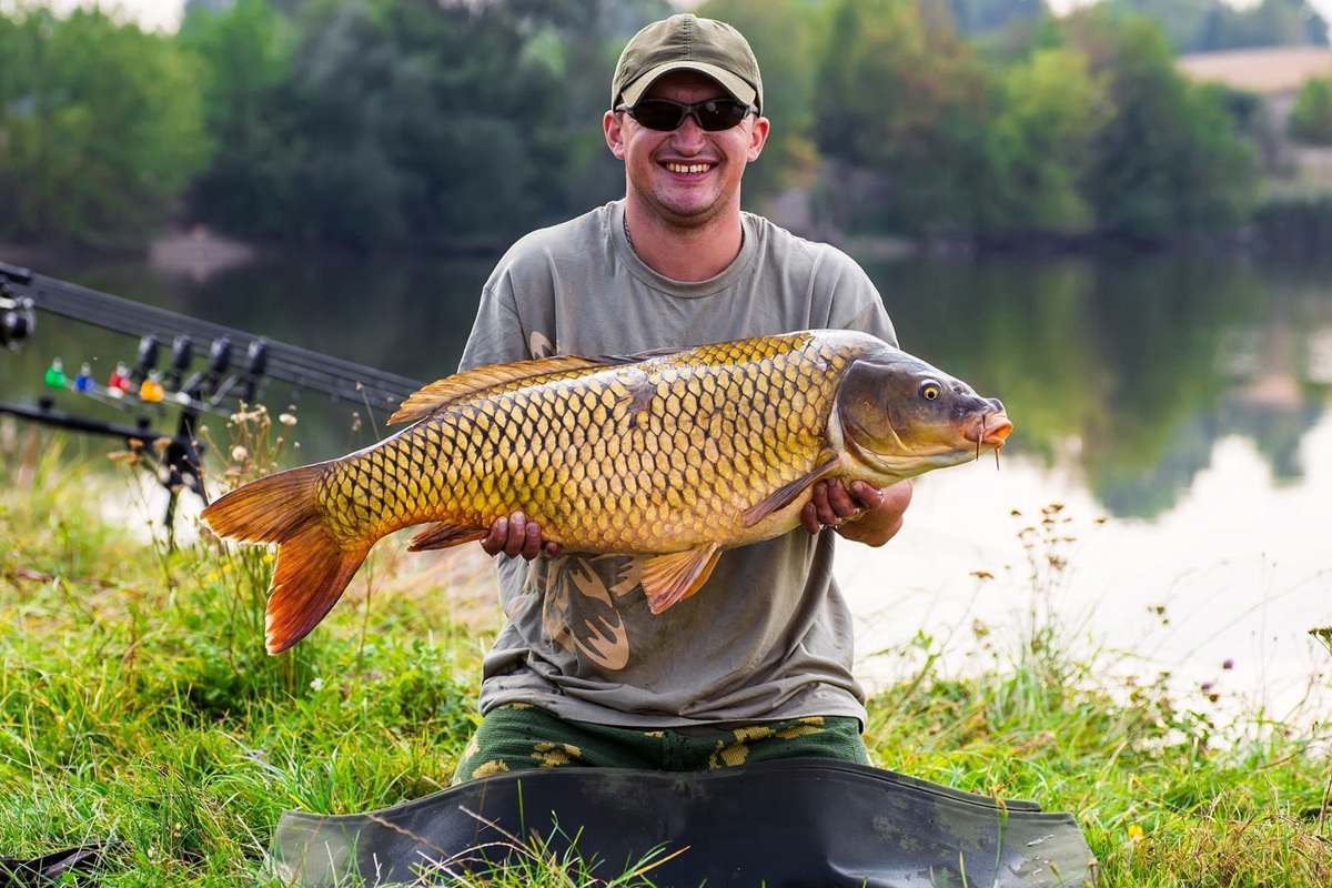 Rybář ulovil jeden z největších známých exemplářů tohoto invazivního druhu: váží téměř 28 kilogramů.