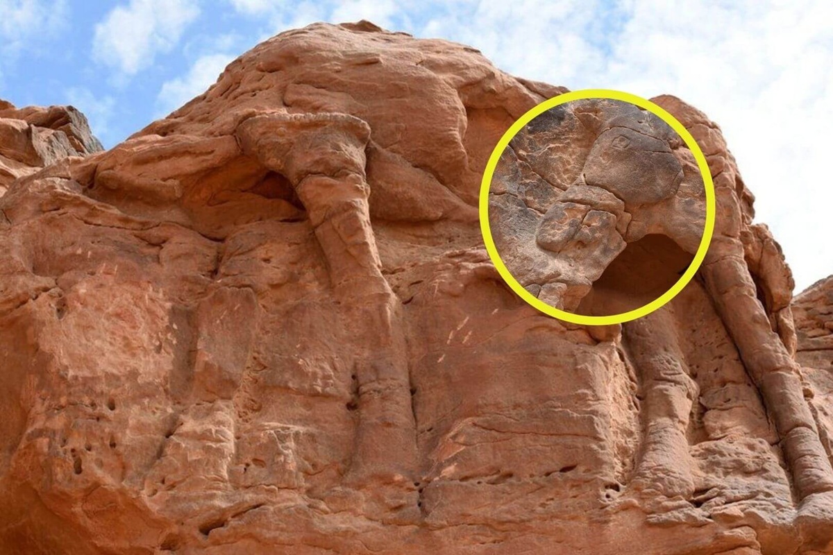 Sochy velbloudů v životní velikosti v Saúdské Arábii jsou starší než pyramidy a Stonehenge: analýza ukazuje, že jsou o tisíce let starší, než se dříve předpokládalo.