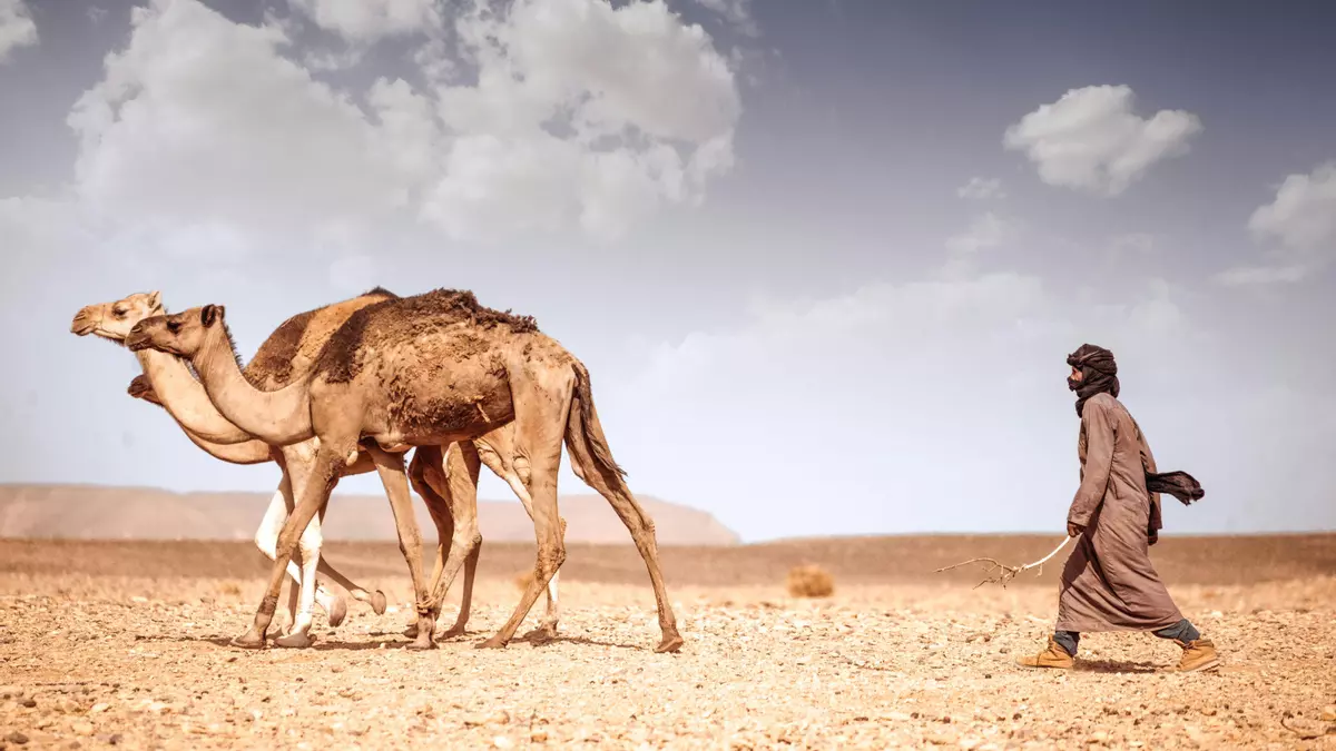 Jako pastevci na planetě Arakis: lidé se přizpůsobili poušti díky genu, který jim pomáhal zadržovat moč