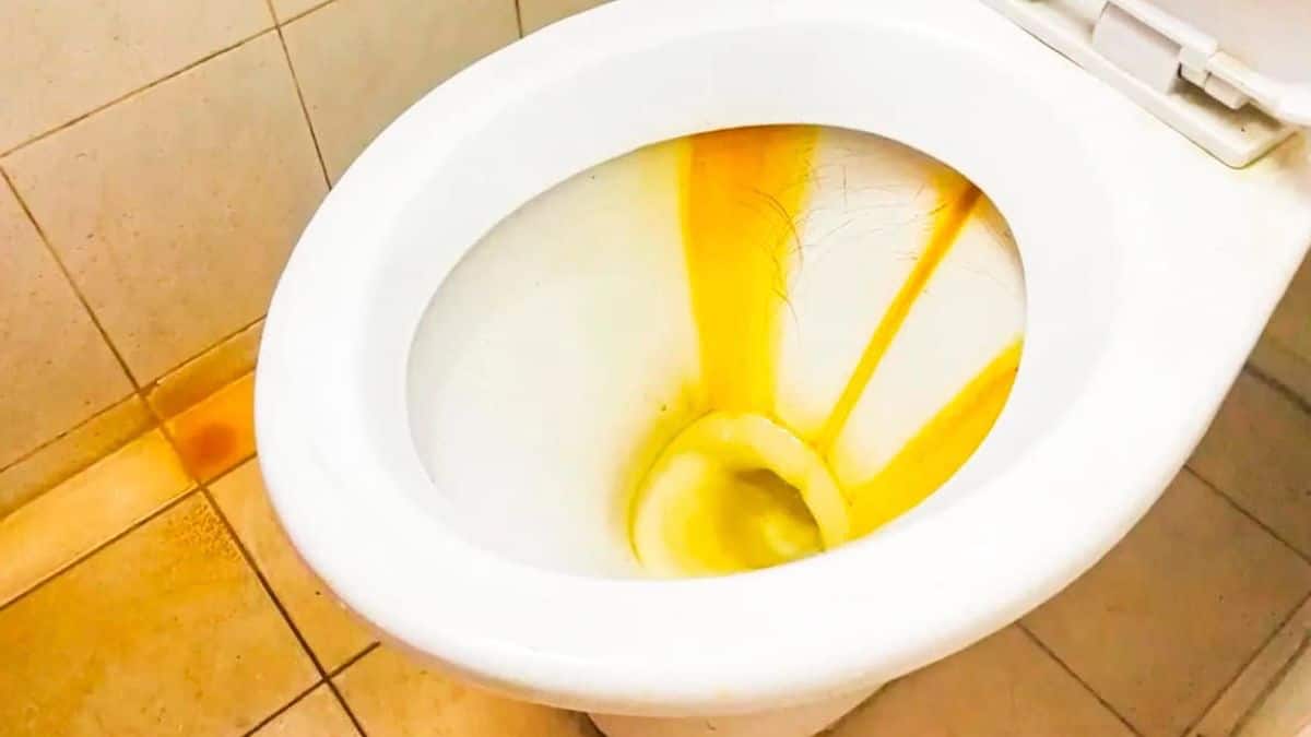 Nejúčinnější domácí způsob odstranění trojité žluté skvrny a vodního kamene z toaletní mísy