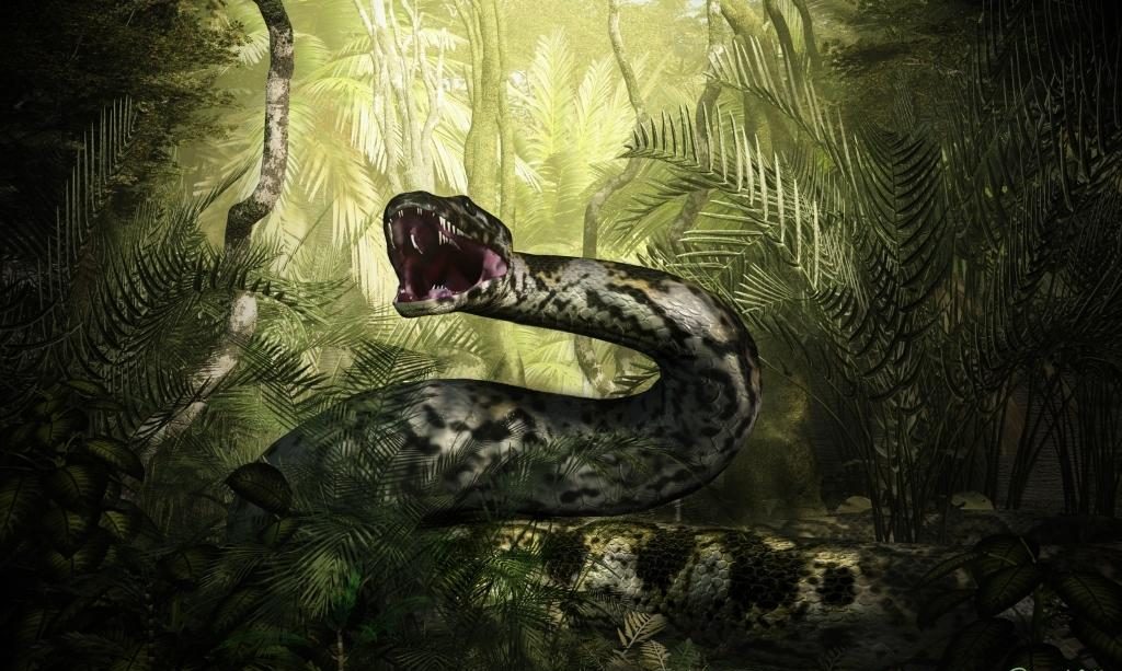 Císař, který nahradil dinosaury: objeven titanoboa, had, který vládl Zemi před 60 miliony let