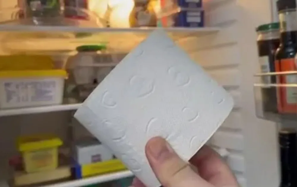 Vložte roli toaletního papíru do ledničky: proč se to doporučuje a k čemu to slouží