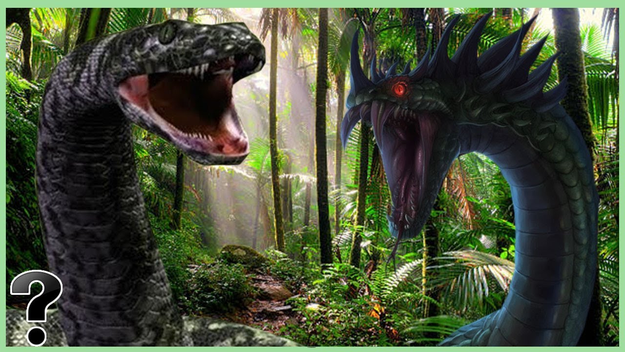 Císař, který nahradil dinosaury: objeven titanoboa, had, který vládl Zemi před 60 miliony let
