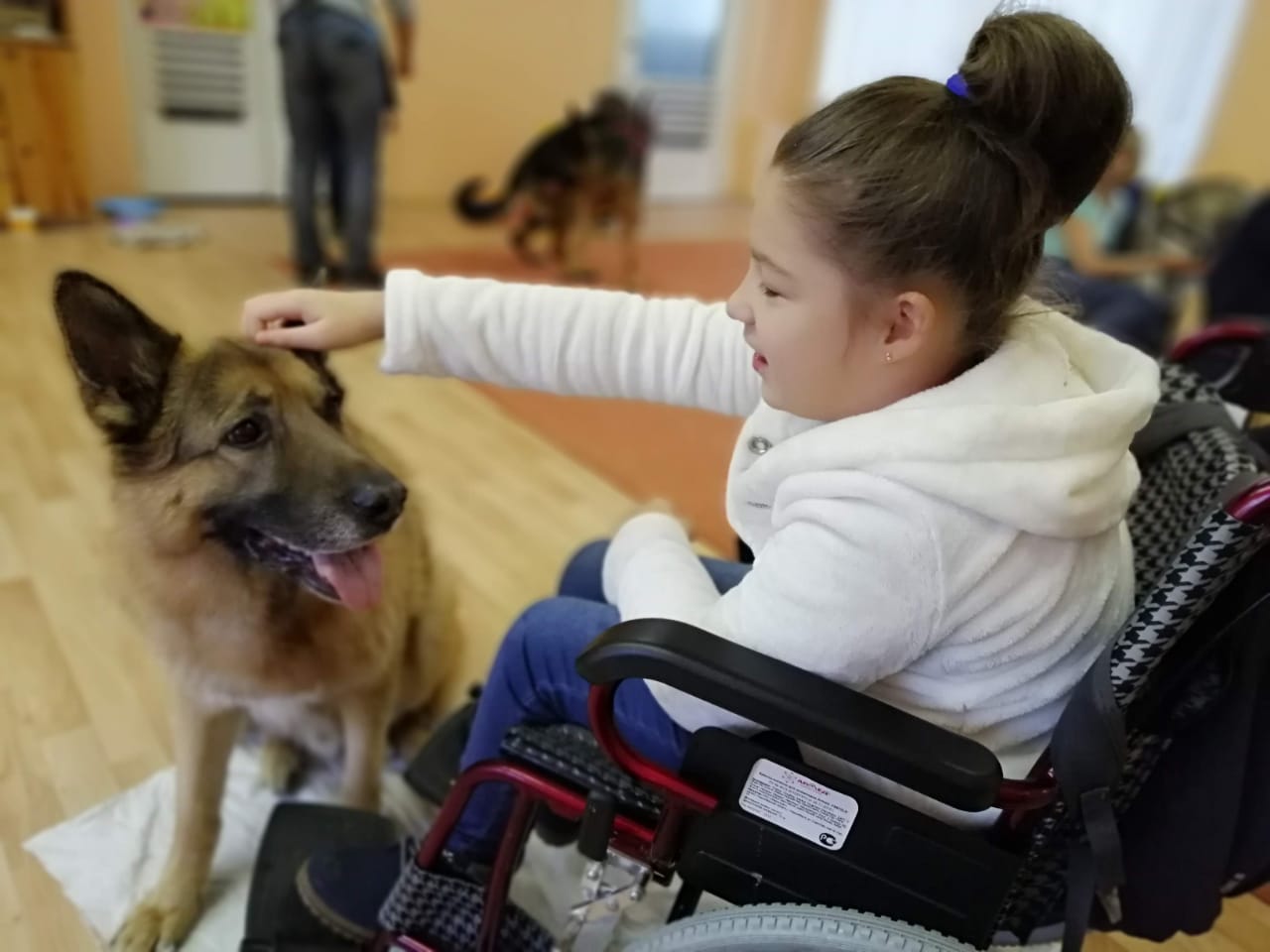 Vliv kynologické terapie na uzdravení dětí a starších pacientů