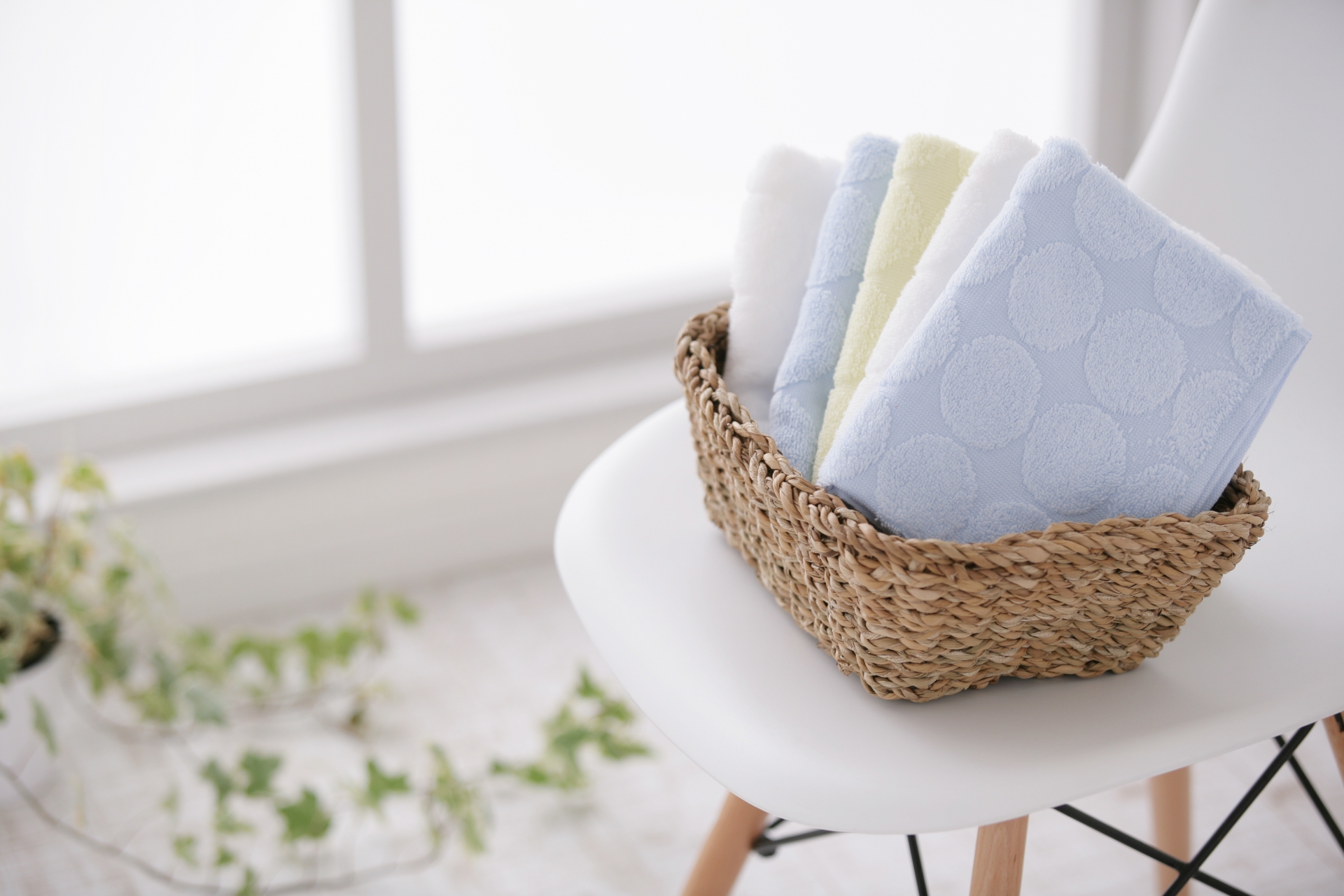 Při jaké teplotě je třeba prát kuchyňské utěrky, aby se zničily bakterie