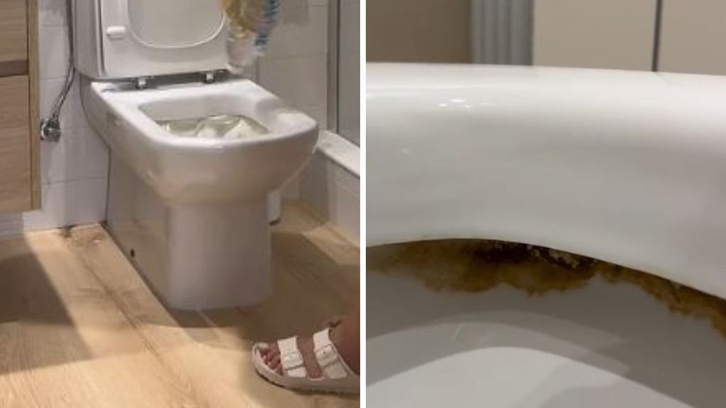 Vše, co potřebujete k odstranění vodního kamene z toalety najednou, prozrazuje odborník