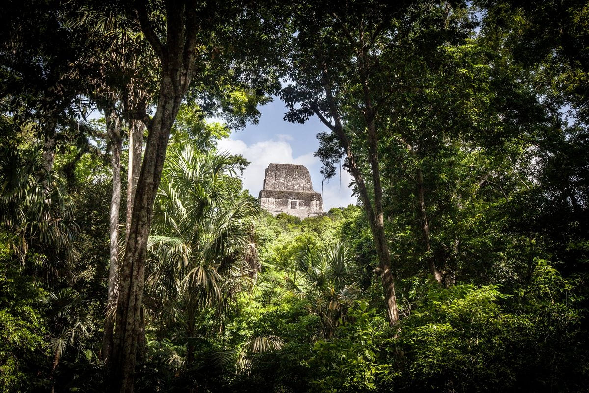 Ztracená pyramida: proč bylo největší město Mayů opuštěno?