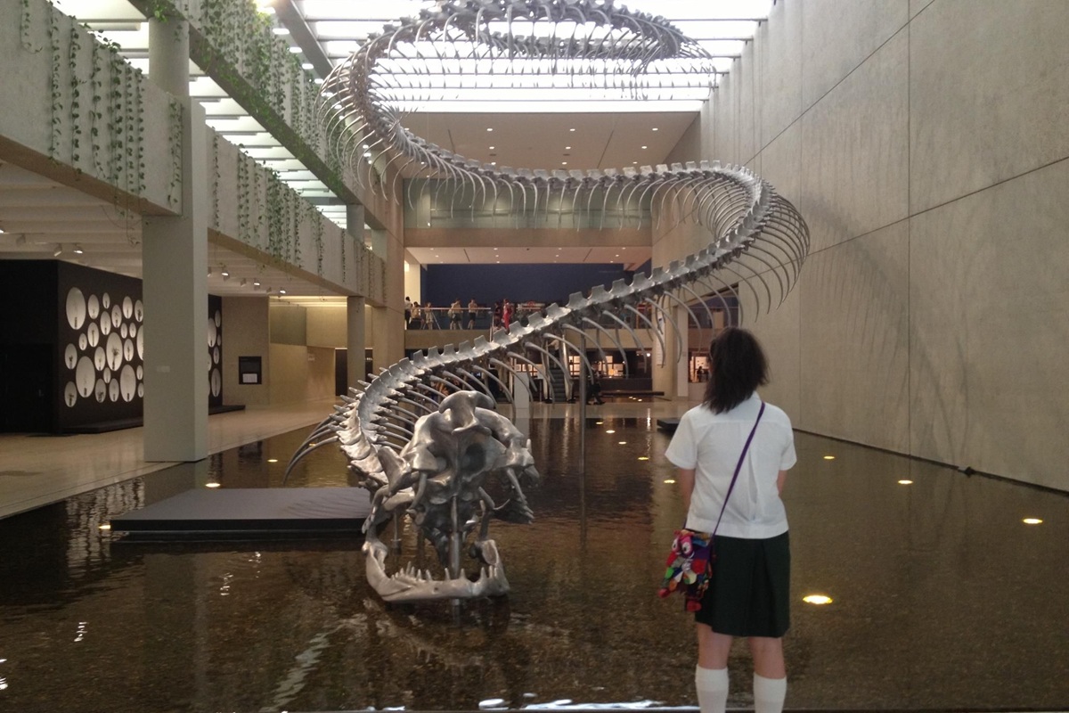 Král, který nahradil dinosaury: objeven titanoboa – had, který vládl Zemi před 60 miliony let.