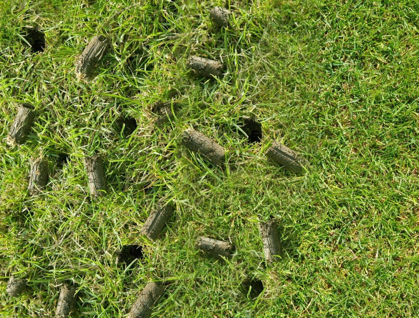 Díry v zahradě? Za to mohou tato zvířata