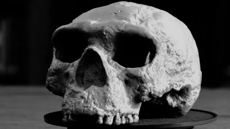 Milion let starý lebka, která podle vědců „zcela mění“ naše chápání evoluce člověka.