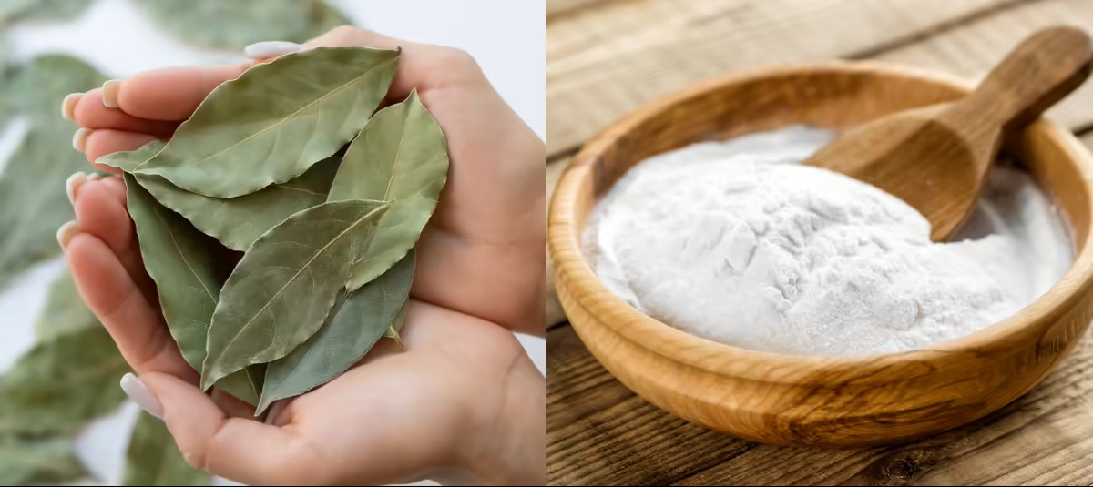 Jedlá soda a bobkový list: ideální recept na účinnou, multifunkční domácí směs