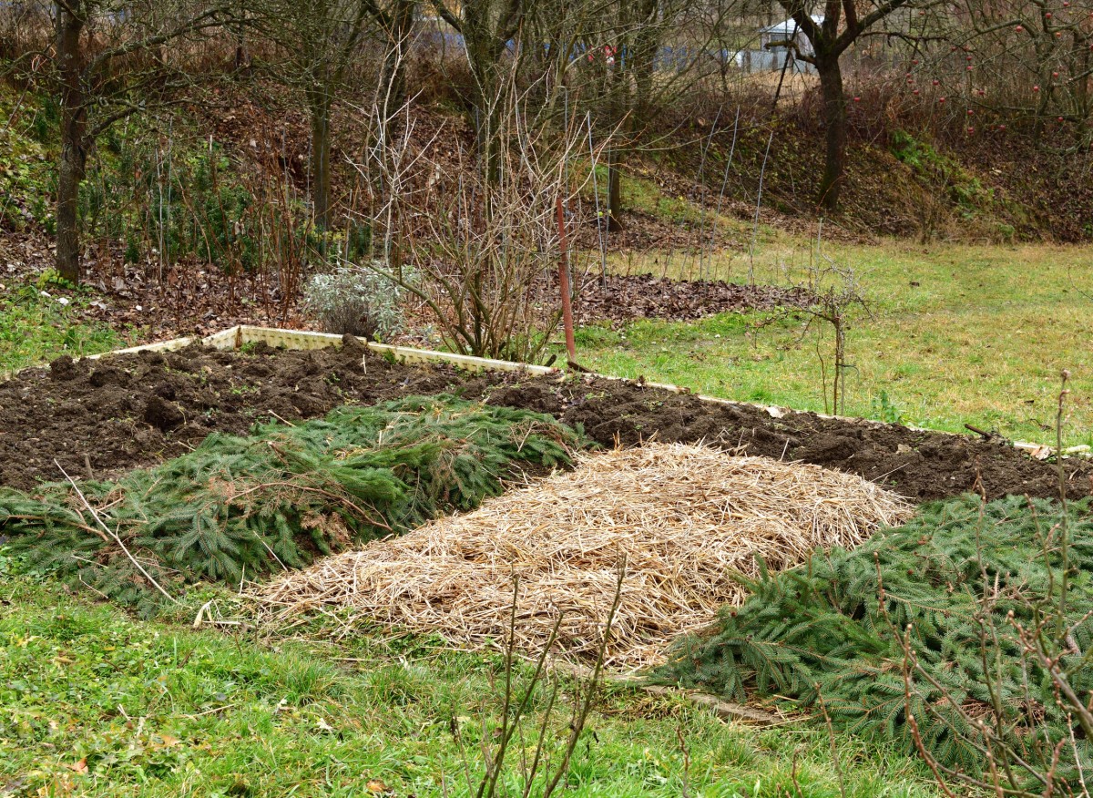 6 nejlepších materiálů pro mulčování na podzim. Zdarma a dostupné pro každého.