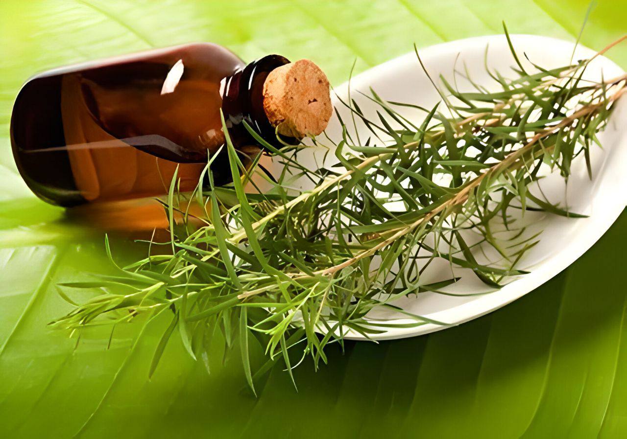 Černá plíseň se z povrchů odstraní pomocí 1 čajové lžičky přírodní ingredience