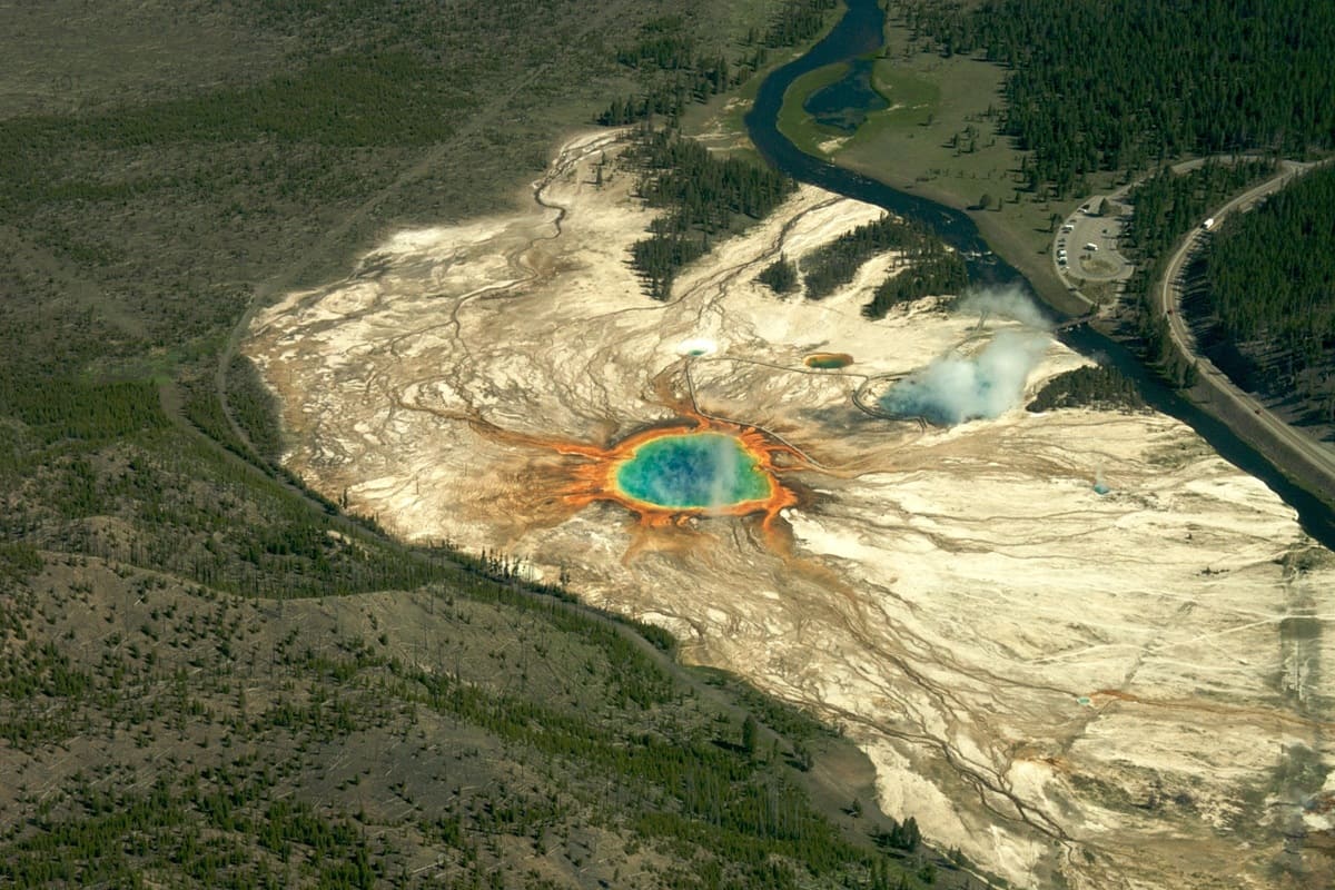 Vědci jsou v šoku: v Yellowstonském parku se znovu objevili vlci a poprvé za 80 let vyrostly stromy.