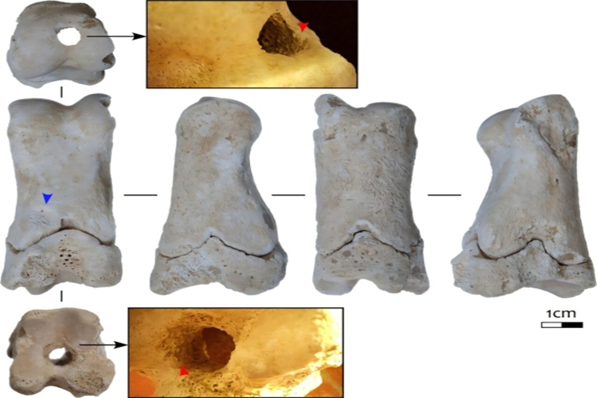 Za vlády Achnatona měli strážci dělnické čtvrti egyptského hlavního města píšťalky vyrobené z kosti.