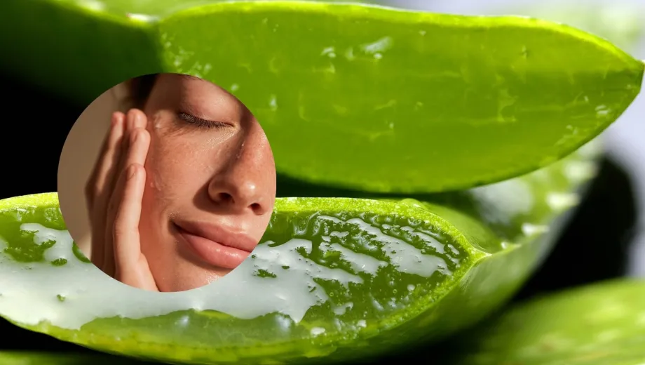 Aloe vera pro obličej: jak používat přírodní gel pro hydrataci, odstranění otoků a omlazení pokožky