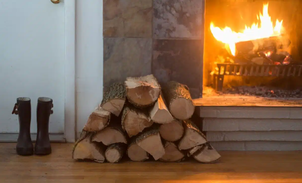 Toto málo známé dřevo hoří lépe než dub a je levnější.