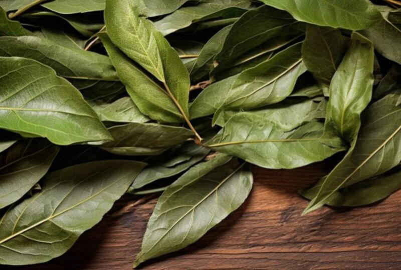 Jak chránit cereálie před červy v kuchyni: jednoduché použití bobkového listu