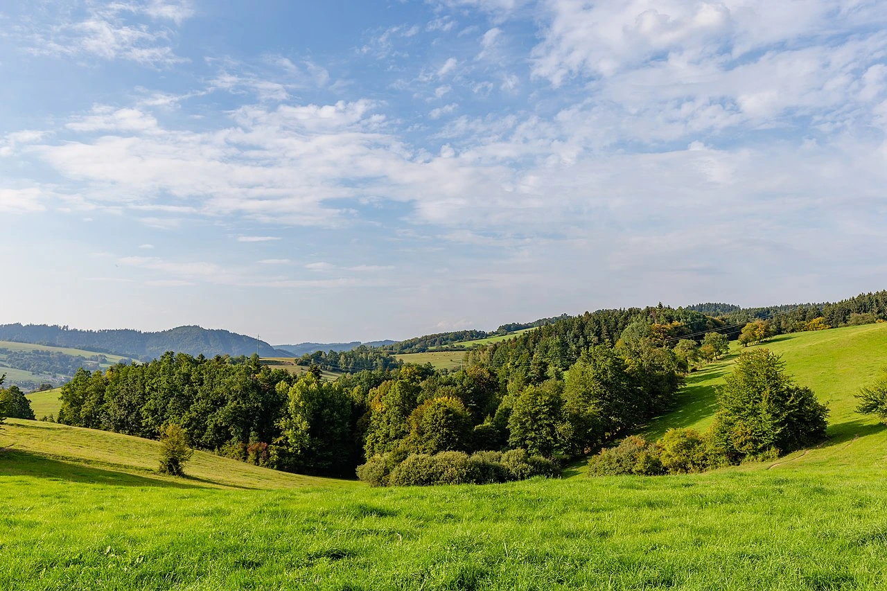 Archeologický závod s časem vedl k objevu prehistorického osídlení v České republice