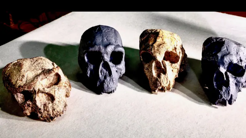 Milion let starý lebka, která podle vědců „zcela mění“ naše chápání evoluce člověka.