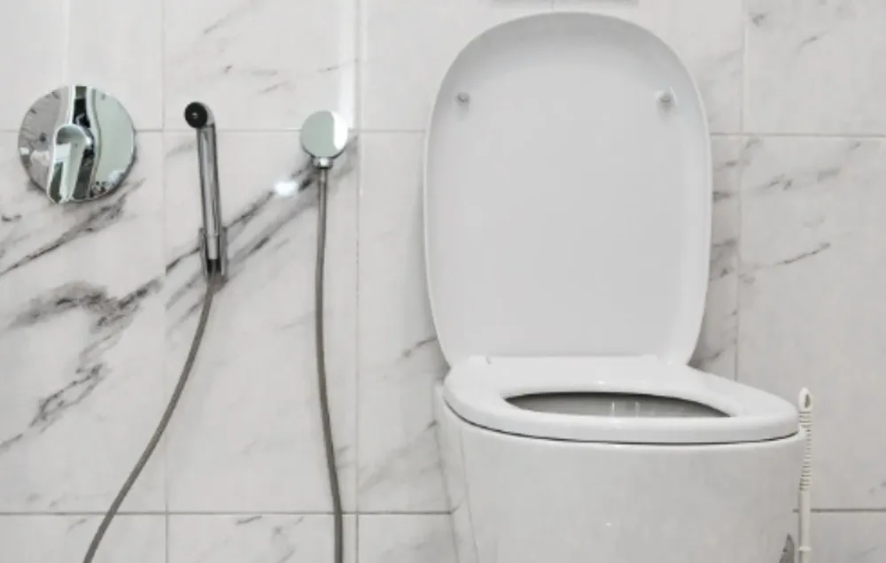 Bidé se již neinstalují do domácností: stále větší oblibu získává trend, který je mnohem elegantnější a pohodlnější