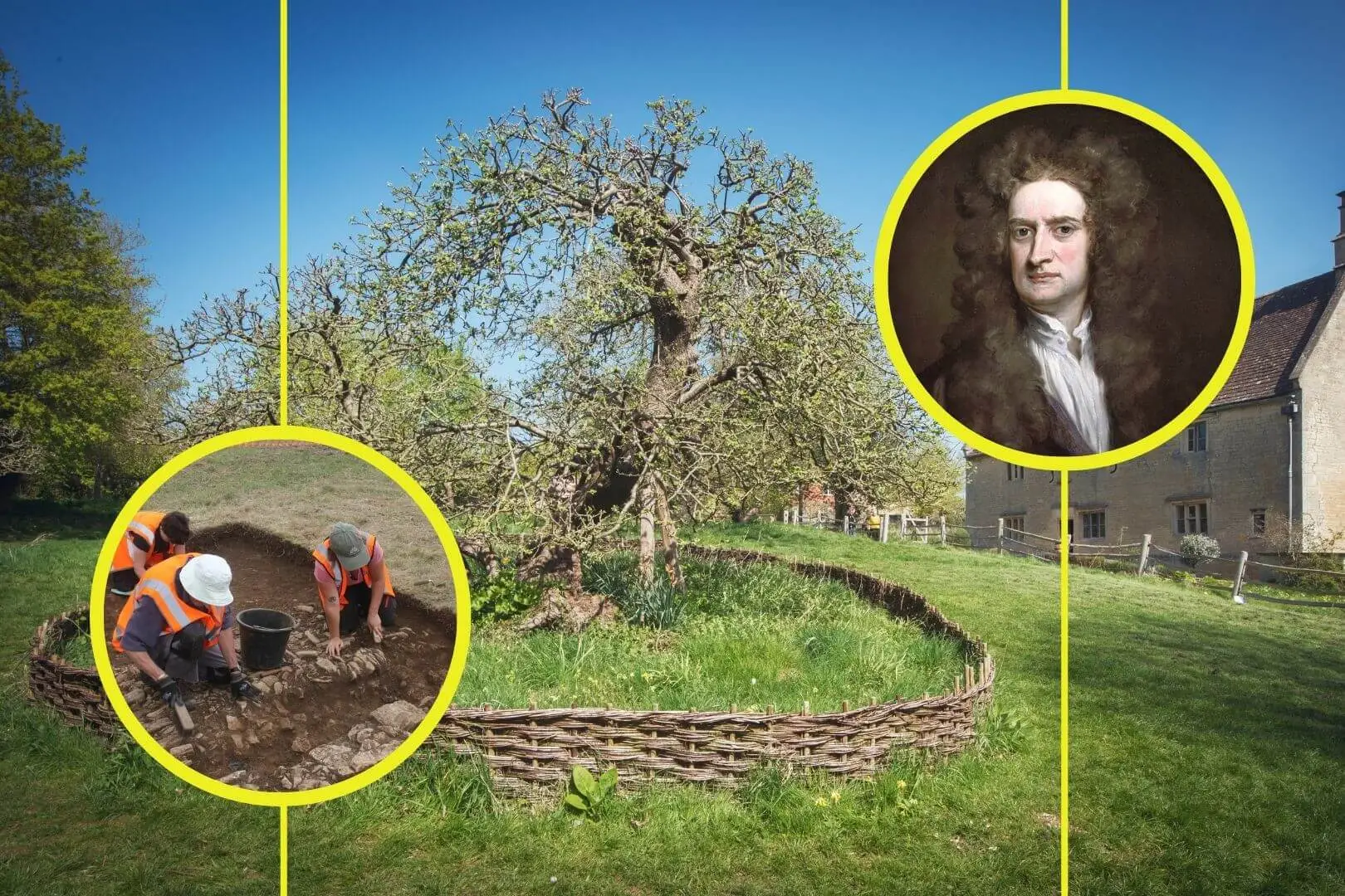 Archeologové provádějí vykopávky poblíž legendárního Newtonova jabloně a objevují opuštěný dům s předměty, které odhalují neznámou stránku génia