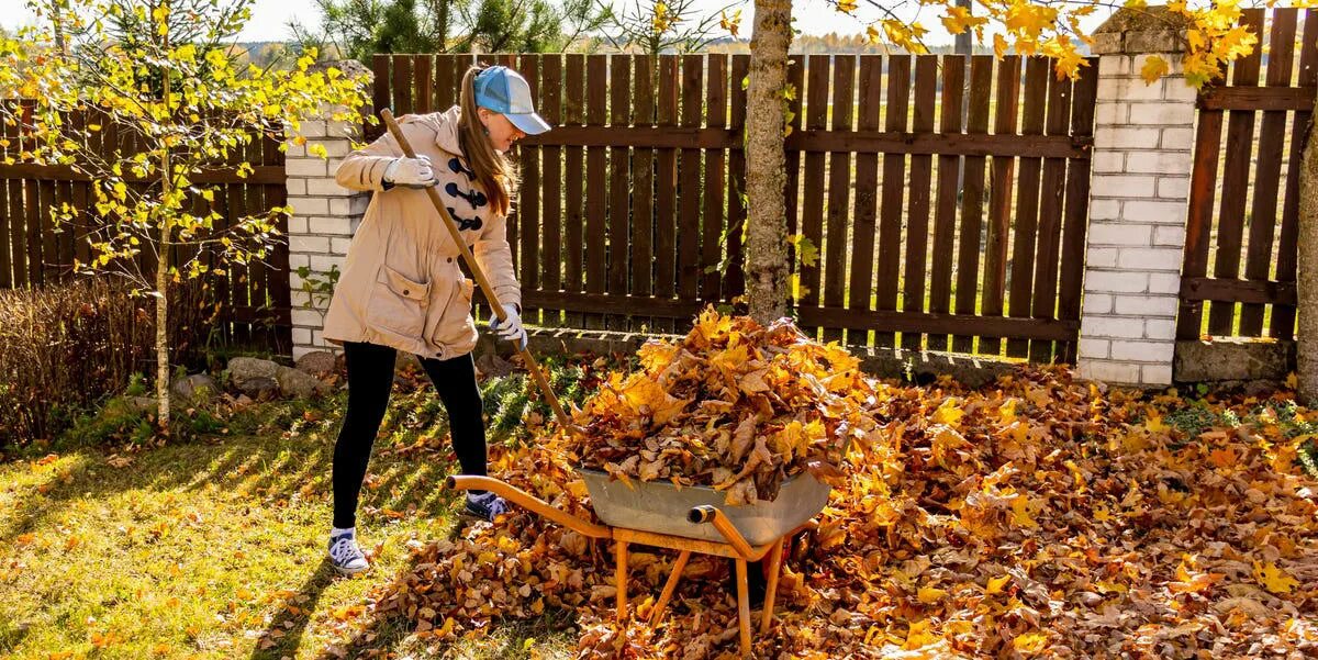 Důležité práce na zahradě – před mrazem