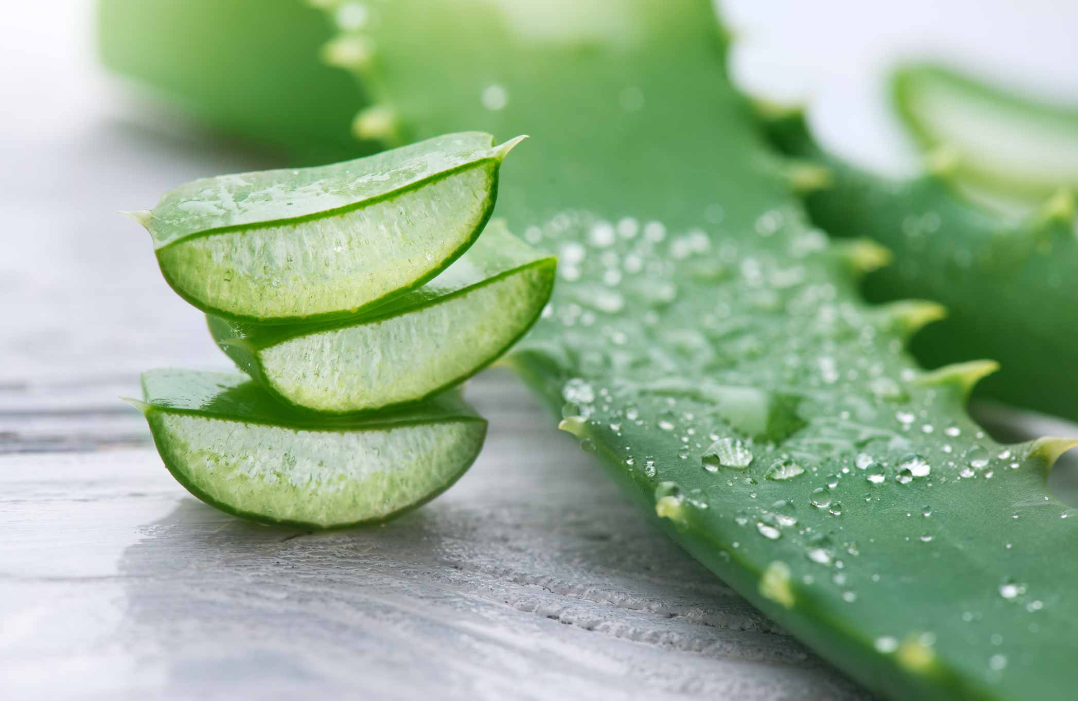 Aloe vera pro obličej: jak používat přírodní gel pro hydrataci, odstranění otoků a omlazení pokožky