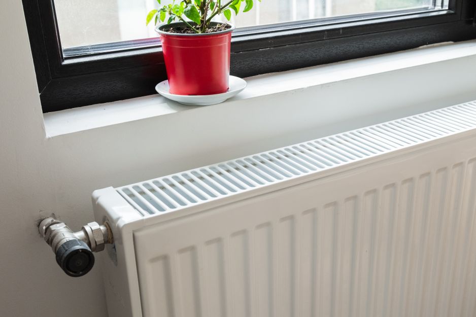 Tyto pokojové rostliny se musí vyhýbat horkým radiátorům jako ohni. Nevydrží ani týden.