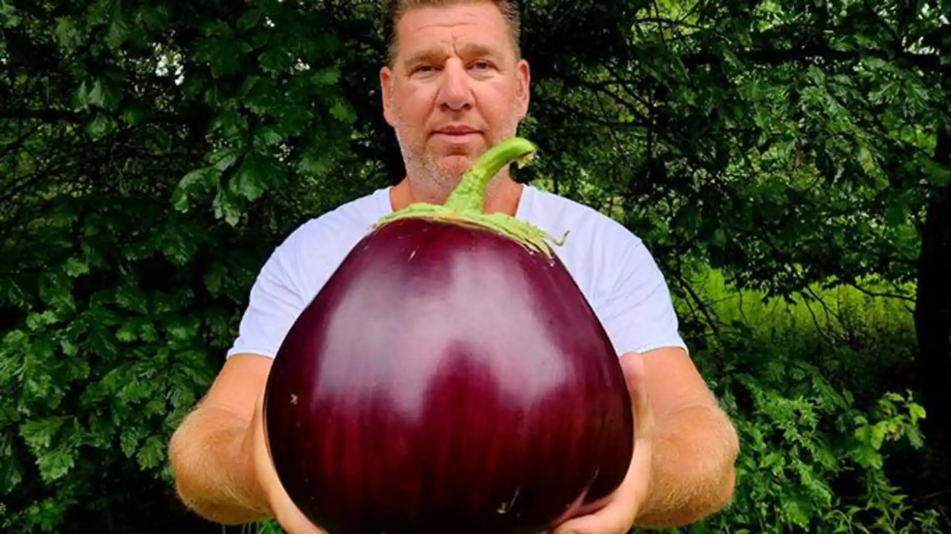 Farmář vypěstoval největší lilek v historii: váží více než 4 kilogramy a nevejde se do jedné ruky