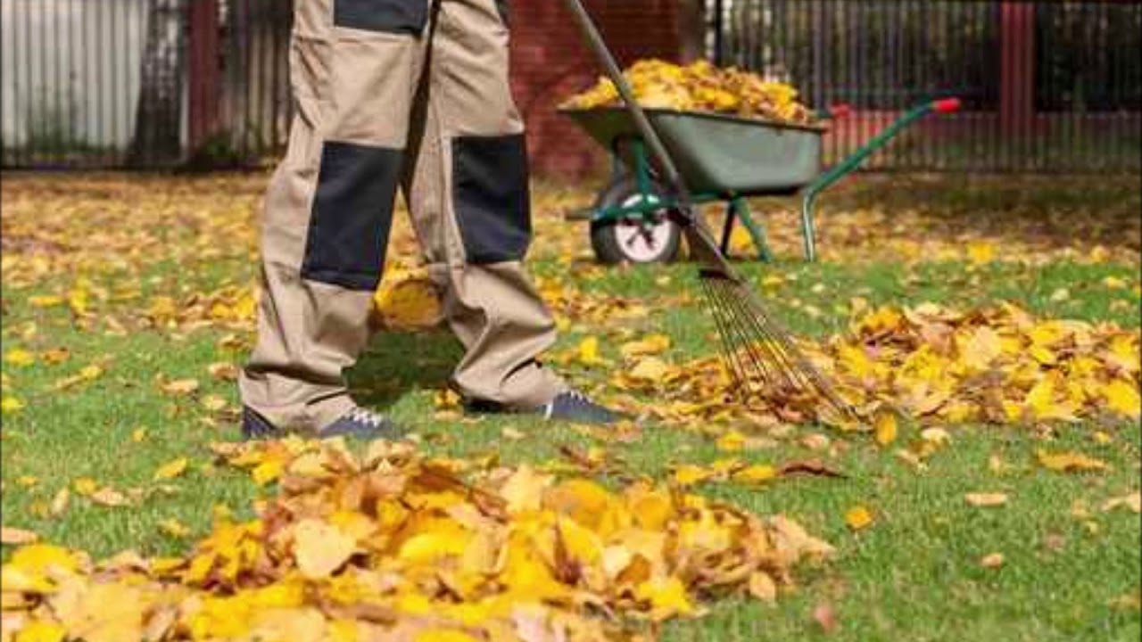 Zahradní kalendář na listopad: tyto zahradní práce jsou naplánovány