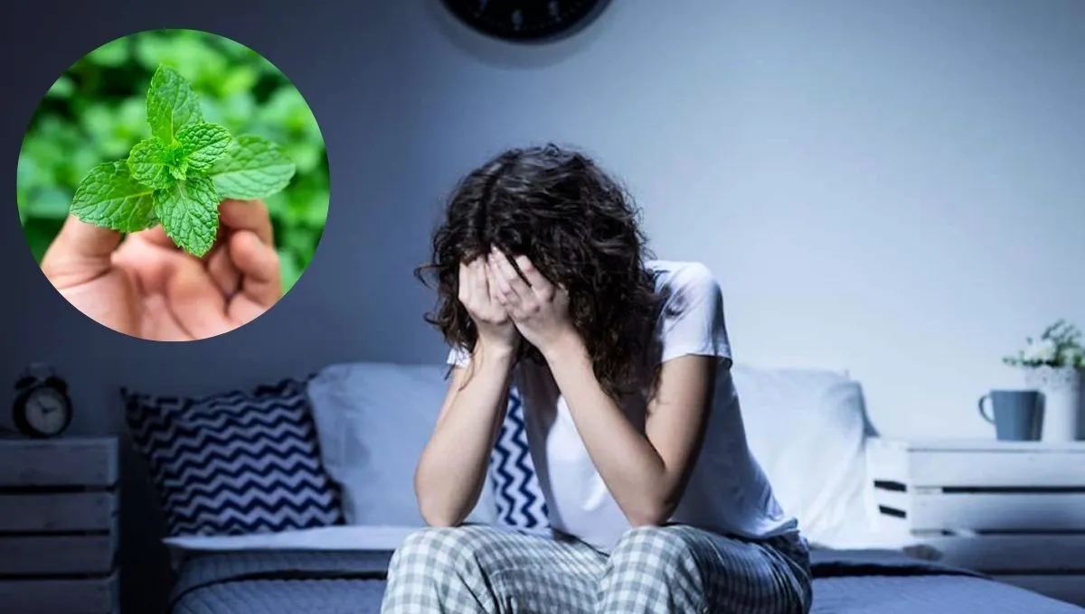 Jak používat mátu proti nespavosti v noci: účinný domácí lék