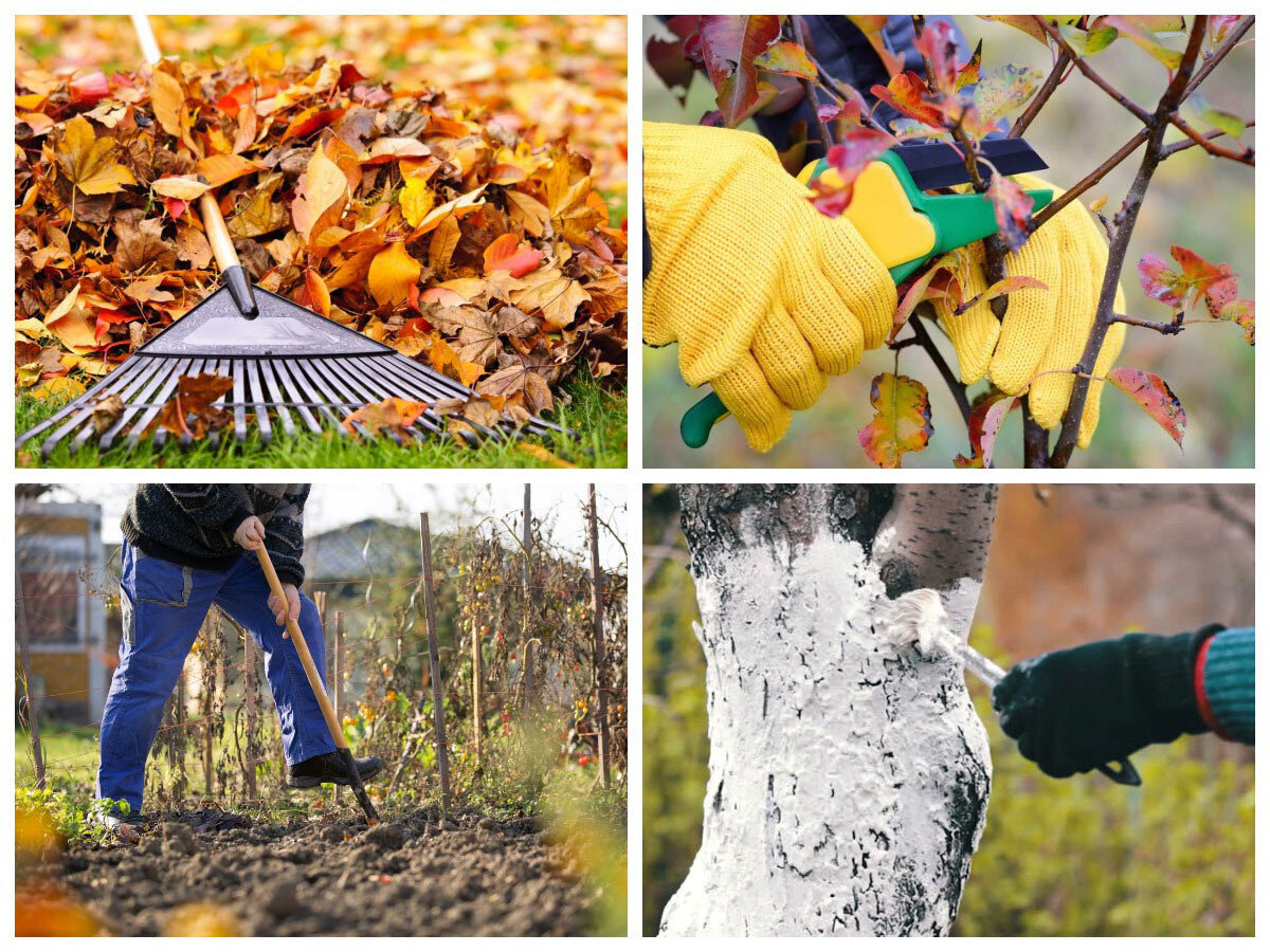 Důležité práce na zahradě – před mrazem