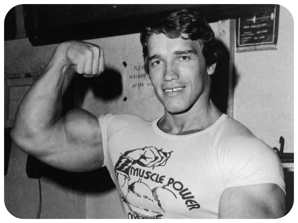 Arnold Schwarzenegger po vzdání se masa ve věku 78 let: „Stres zvířat vyčerpává glykogen v jejich svalech a takové maso má horší chuť.“