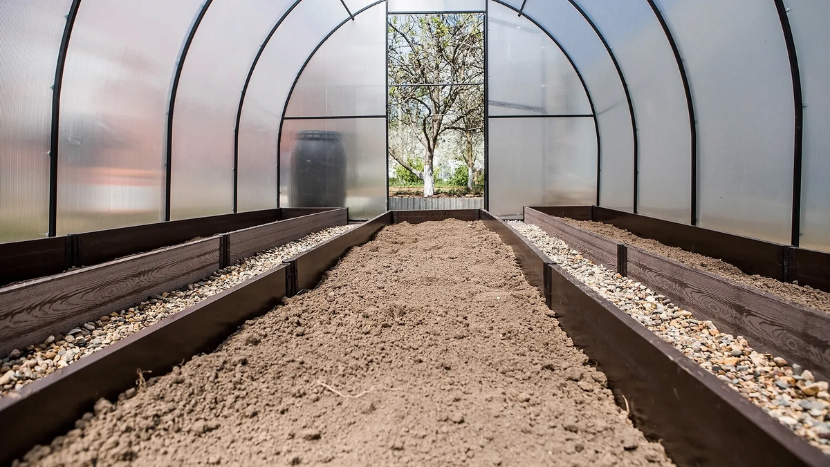 Rozsypte to po skleníku na konci října a začátku listopadu: v létě sklizeň zeleniny překoná všechny rekordy