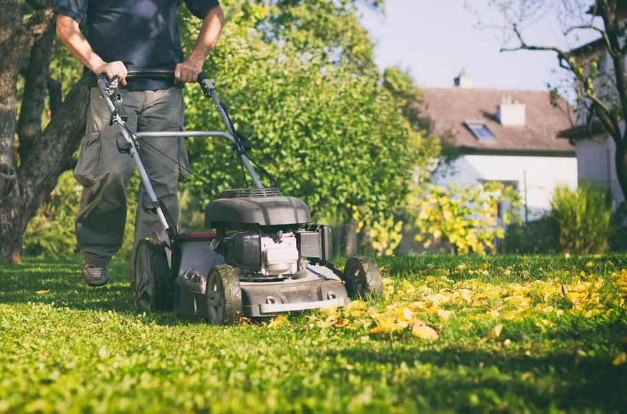 Péče o trávník na podzim: kdy je třeba trávník posekat naposledy