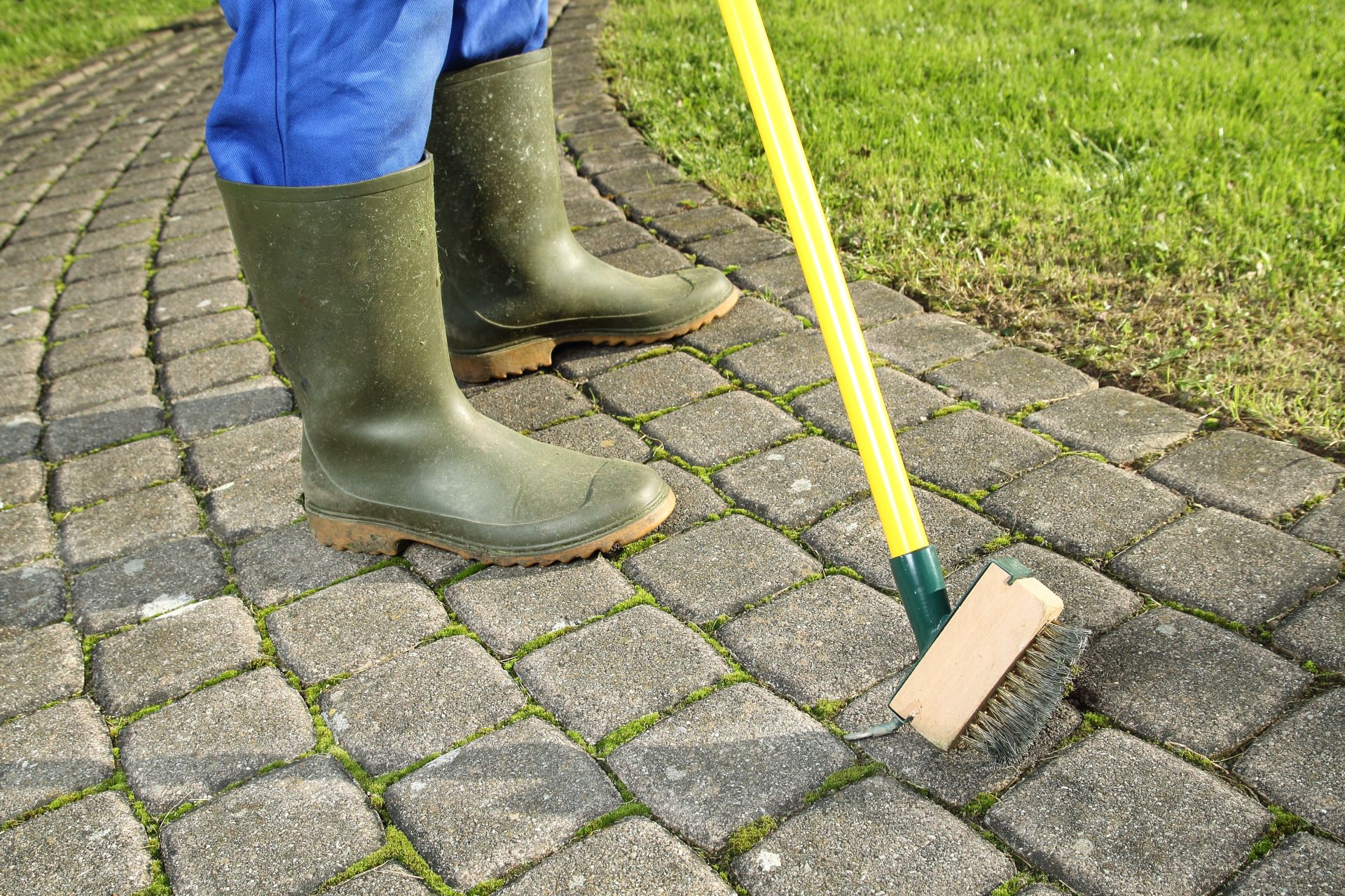 Jak odstranit mech z dlažebních kostek: jednoduchý kuchyňský prostředek zachrání vaši zahradu