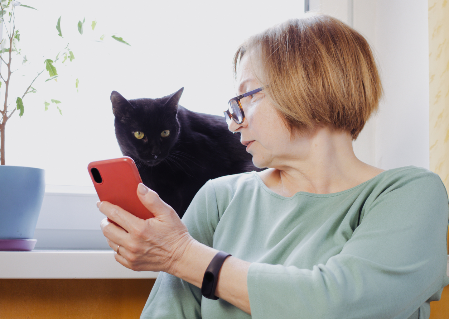 Proč si vaše kočka vždycky vybere vaše telefonní hovory, aby na sebe upozornila
