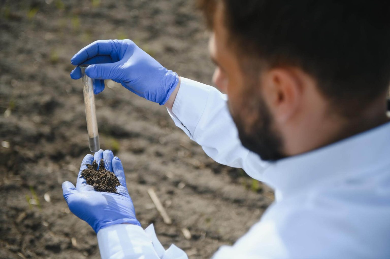 V rámci nejstaršího zemědělského experimentu na světě, který byl proveden po 180 letech nepřetržitého obdělávání půdy, bylo zjištěno, že hnojiva zvyšují obsah uhlíku v půdě až o 28 %.
