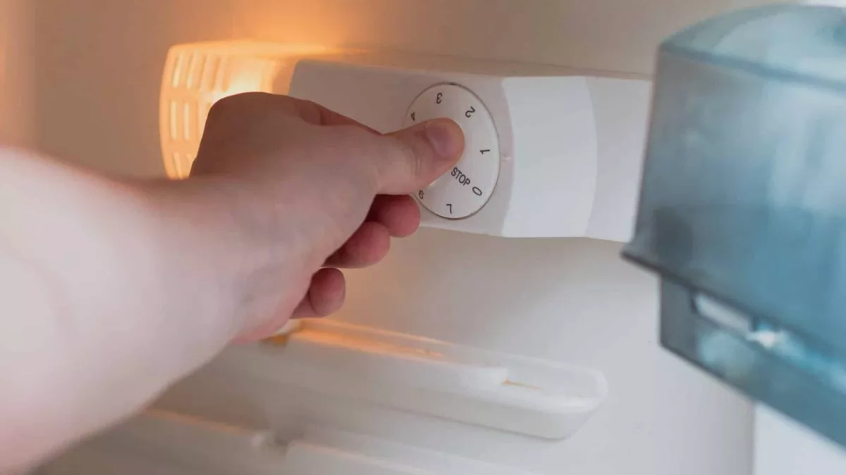 Mnozí nevědí, že kolečko v ledničce neukazuje teplotu: jak jej nastavit, abyste neplatili zbytečně