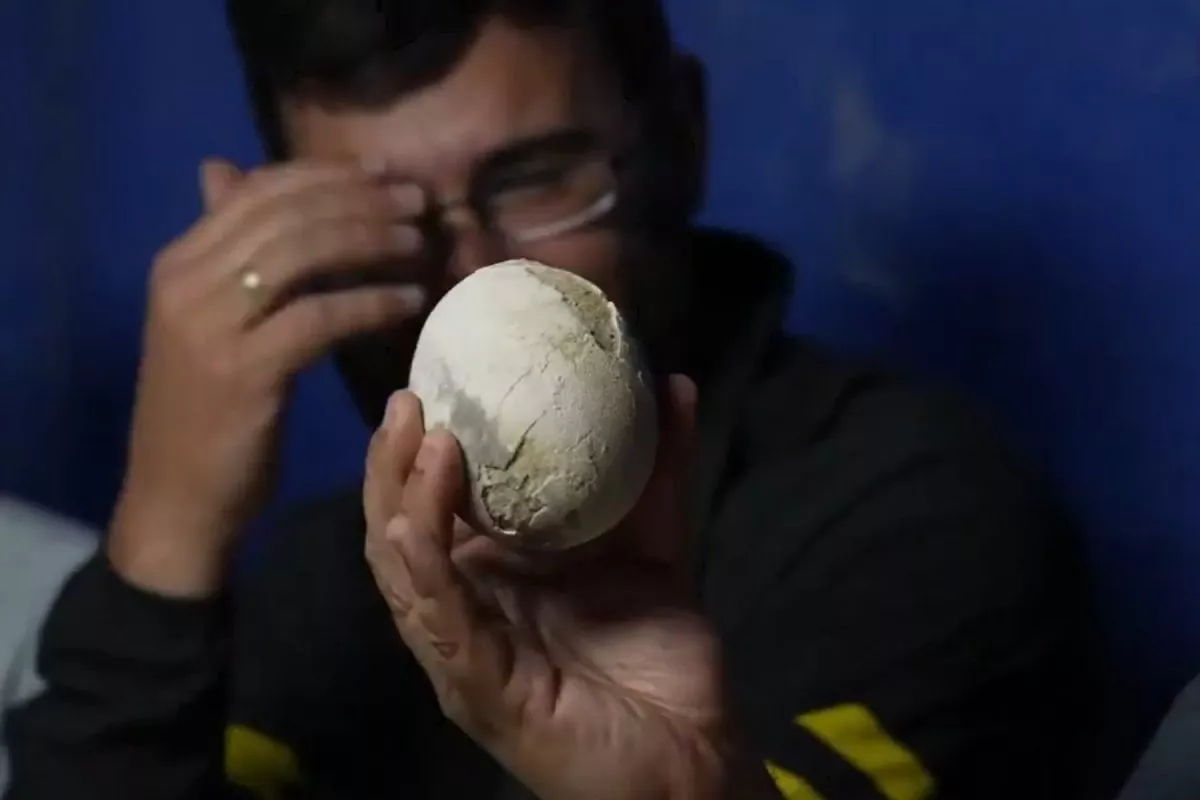 „To je naprosté šílenství“: vědci z Conisetu objevili neporušené vejce masožravého dinosaura a ukázali ho v přímém přenosu z Rio Negro.