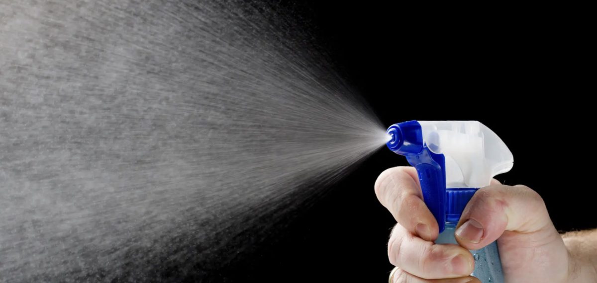 Hospodyně doporučují smíchat okurku s jedlou sodou, aby se zabránilo výskytu švábů.