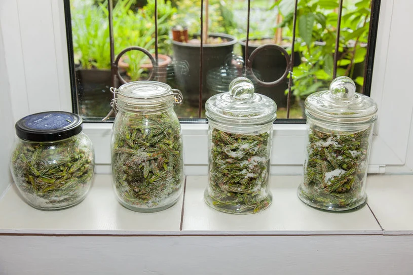 Funguje lépe než sirupy proti kašli z lékárny. Moje matka a babička ho připravovaly každý rok.