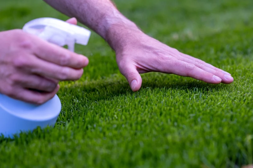 Teď je ten správný čas zbavit se mechu na vašem trávníku. Vše, co potřebujete, je prostředek, který stojí jen pár korun.