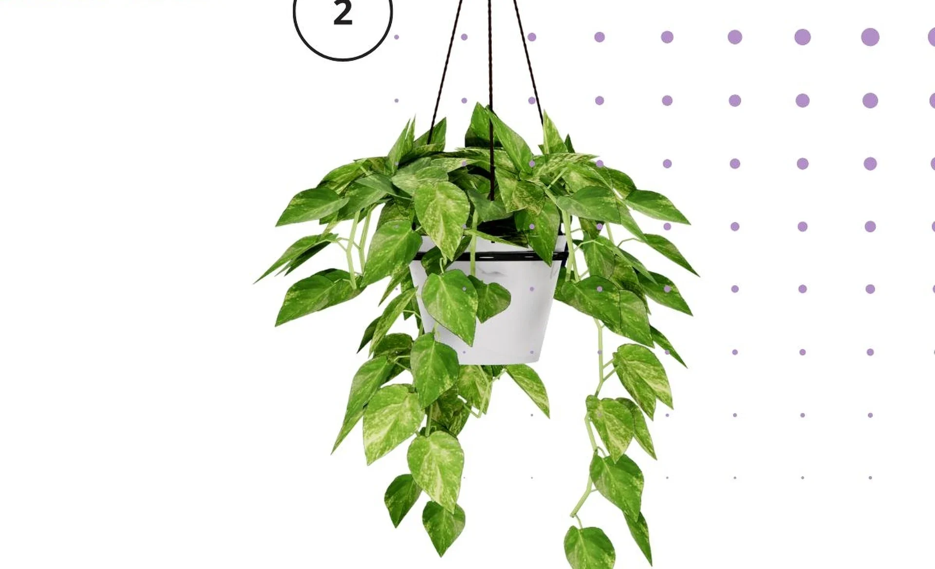 Tento symbol ukazuje, jaký máte vztah. Intuitivní test osobnosti.