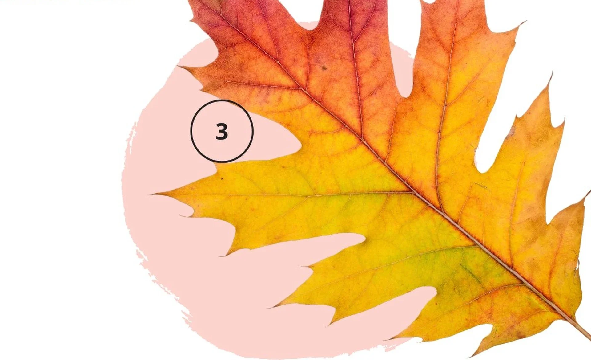 Tento symbol ukazuje, jaký máte vztah. Intuitivní test osobnosti.