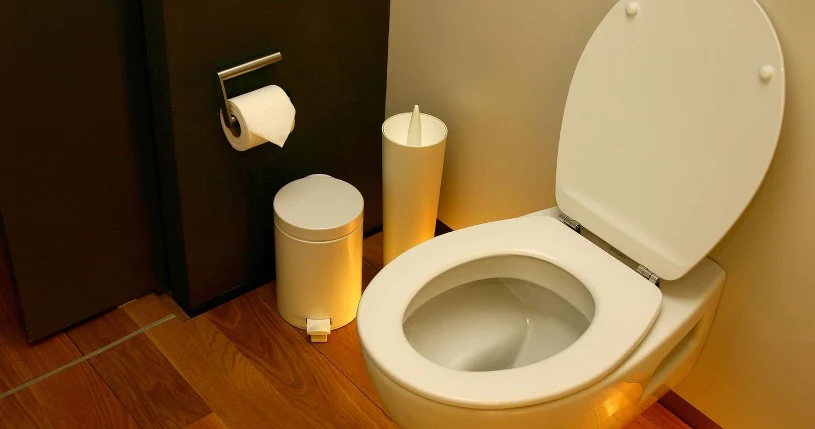 Nikdy to nesplachujte do záchodu. Je zaručeno, že dojde k ucpání kanalizace.