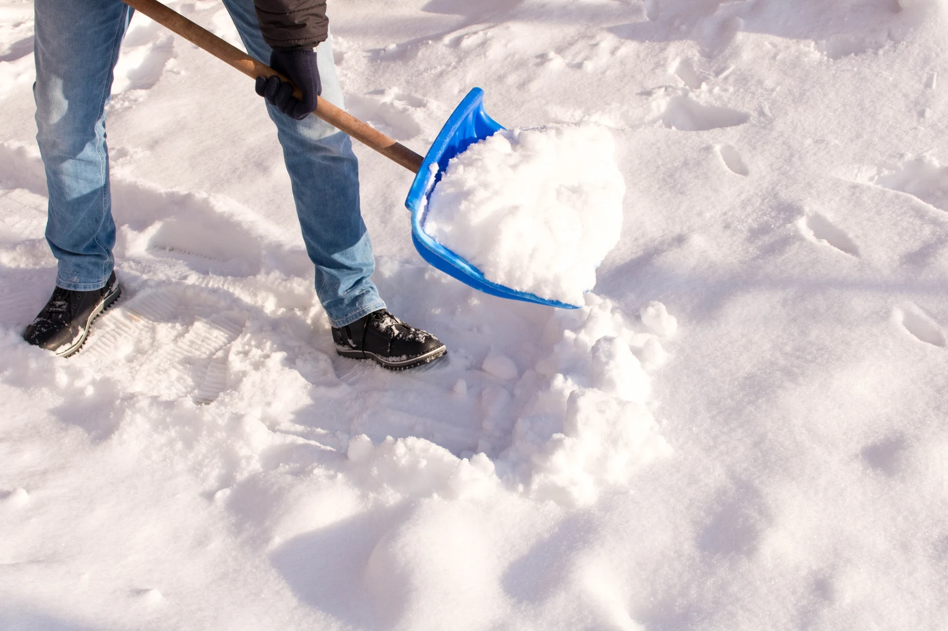 Toto můžete udělat se sněhem v zahradě. Posílí rostliny a vyživí půdu.