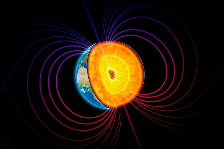 Nová studie ukazuje, jak holubi vnímají magnetické pole Země.